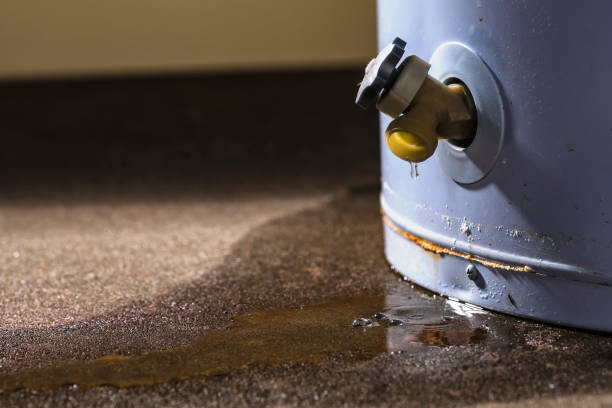 Best Mold removal after water damage  in Trenton, FL
