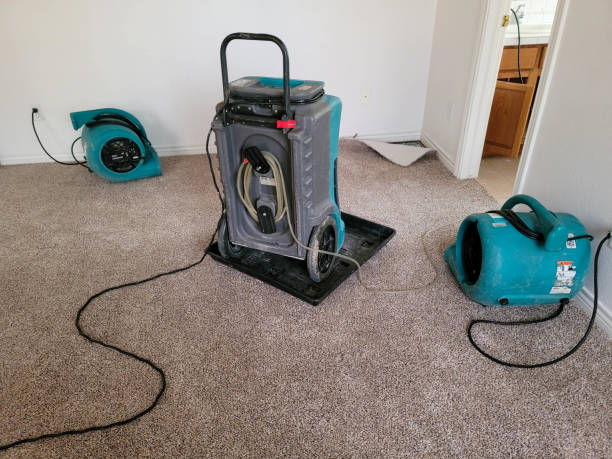 Best Professional water damage repair  in Trenton, FL