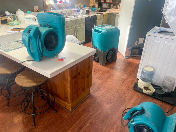 Local water damage restoration in FL