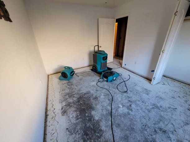 Best Water damage contractors near me  in Trenton, FL