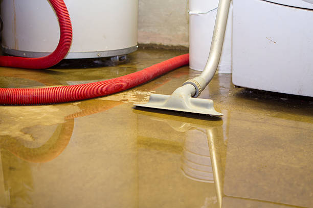 Best 24/7 water damage repair  in Trenton, FL