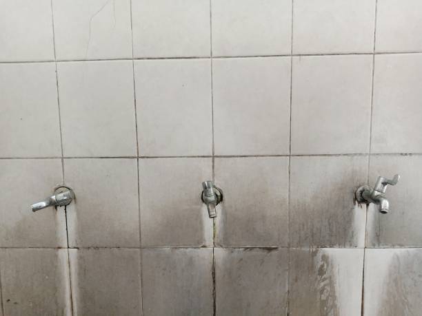 Best Ceiling water damage repair  in Trenton, FL
