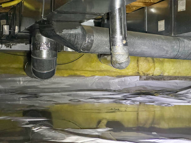Best Sewage cleanup and water damage restoration  in Trenton, FL